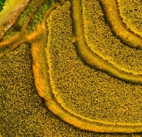 Full® ((List)) of Onchain Wallet℗ CUSTOMER® SERVICE Contact Numbe𝖗s – The Ultimate Official Guide - Articles - Simulation Basketball Association